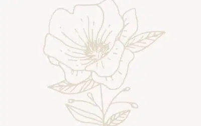 Die protestantische Bestattung